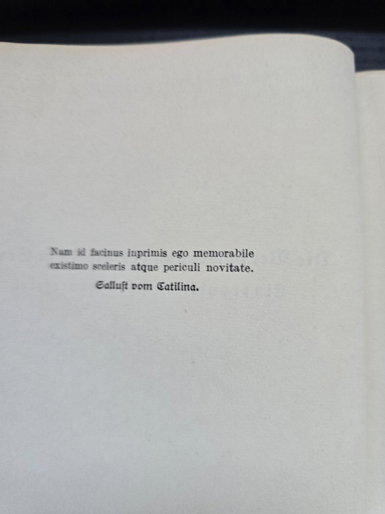 Antico set di due volumi "Schillers Werke" (circa 1910) – Dorso rosso-verde e stampa dorata (photo 9 of 17)