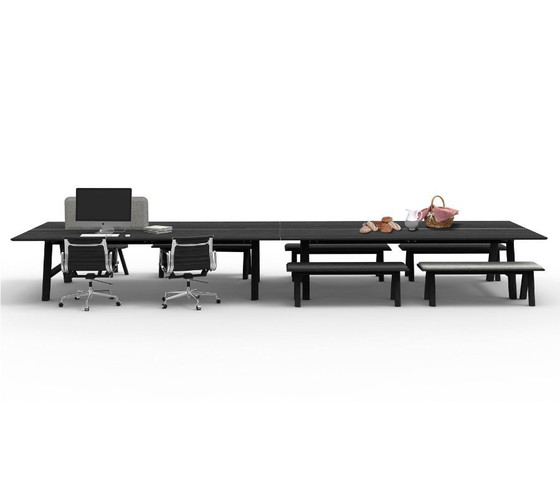 BuzziSpace Picnic Workbench – Schwarz gebeiztes Eschenholz – 320 × 160 Cm – Esstische, Wood (photo 4 of 5)