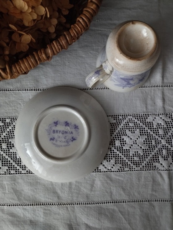 Image 1 of Taza y platillo brasero "Bryona" antiguo de Sarreguemines