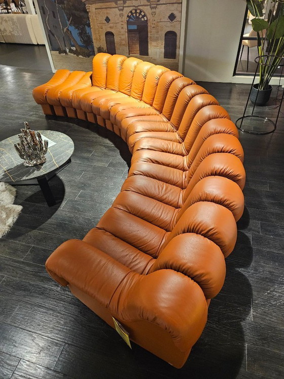 DeSede DS-600 Snake – Designikone in außergewöhnlich gutem Zustand! – de Sede, Ecksofas, Leather (photo 3 of 5)