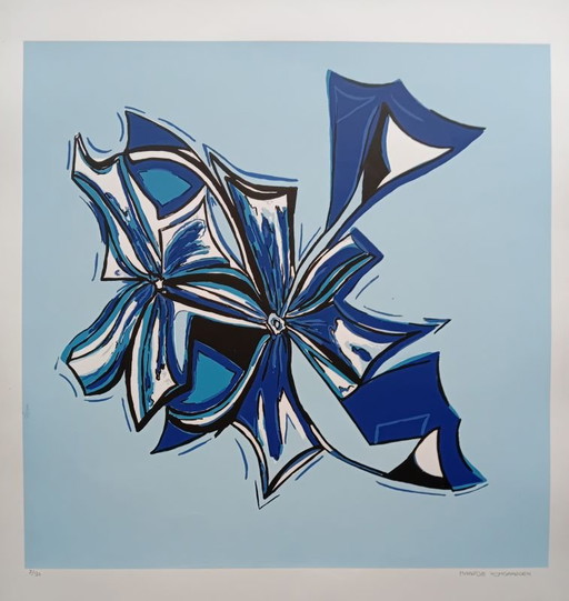 KLEURRIJKEKUNST FRIESLAND