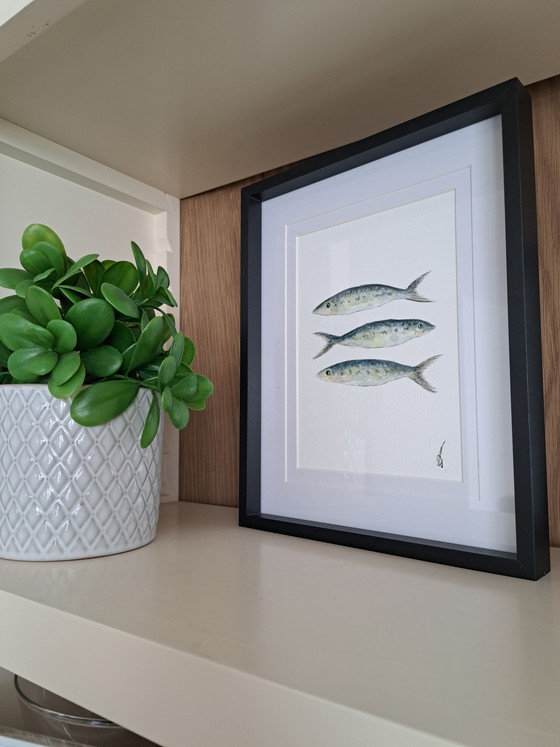 Image 1 of Acuarela de sardinas, original enmarcada.