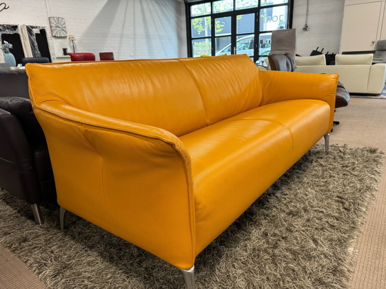 Leolux Mayon 3-Sitzer Sofa – 3-5 Sitzer Sofas, Leder (photo 9 of 10)