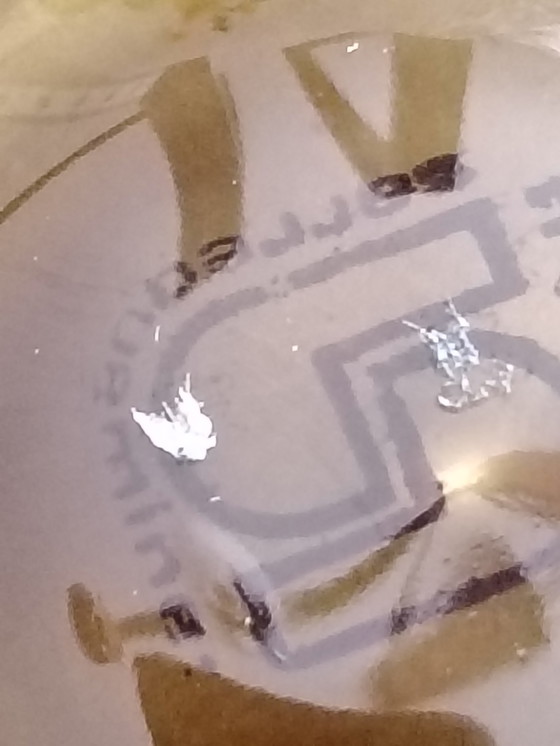 Image 1 of Sarreguemines vintage oyster plate oyster shells serving plate majolica faience