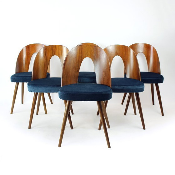 Image 1 of Set Of 6 Iconic Tatra Chairs In Walnut & Velvet By šuman, Nabytok Pravenec 1960s