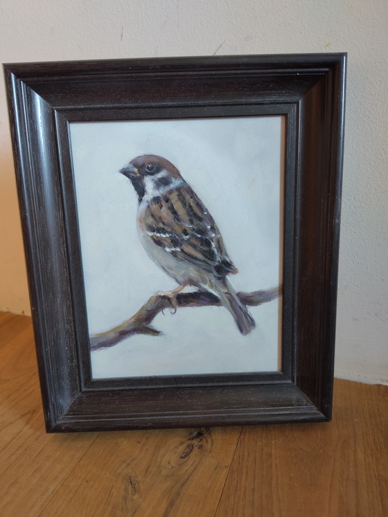 Image 1 of Passero" di Hans Mijnsbergen, olio su tavola