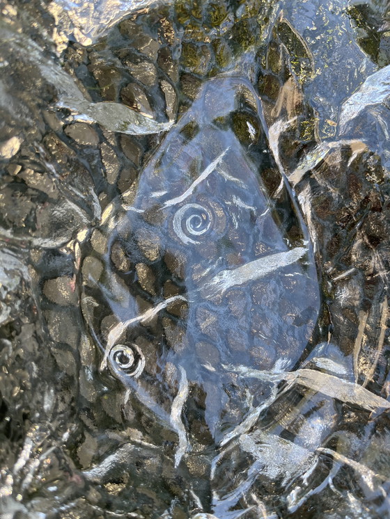 Image 1 of Walter Siebenstern Glaskollektion