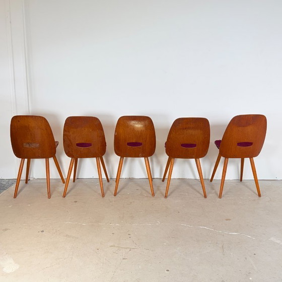 Image 1 of Set di 5 sedie da pranzo vintage – Frantisek Jirak