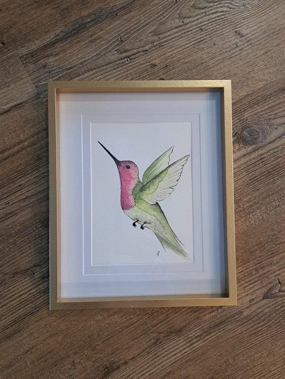 Image 1 of Pintura de acuarela Colibrí