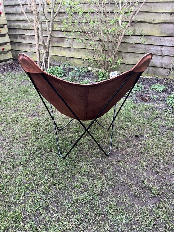 Image 1 of Cuero Design - Sedia Mariposa pelle pampa - Rovere