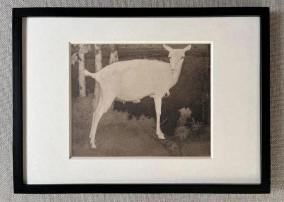 Jan Mankes 1889-1920 / Héliogravure Jeune chèvre blanche 1923 – Lithographies et sérigraphies, Paper (photo 7 of 7)