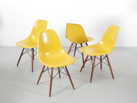 Set van 4 DSW Charles Eames stoelen - Gele glasvezel Herman Miller editie – Eetkamerstoelen, Fiberglass (photo 4 of 18)