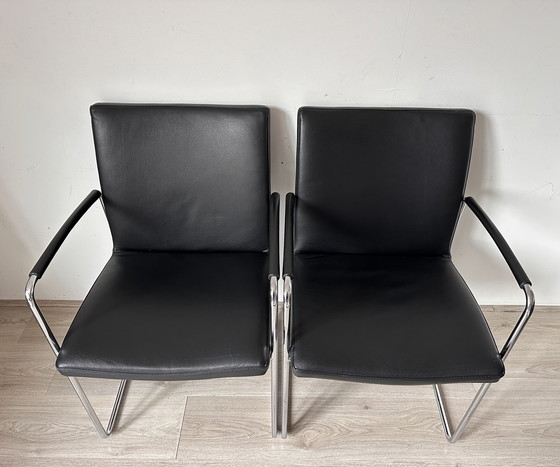 Image 1 of 4 chaises de salle à manger Leolux Talos.