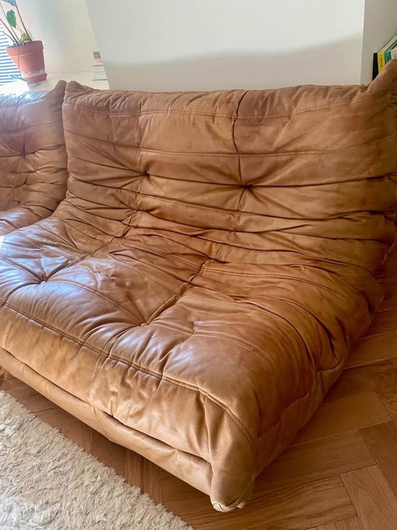 Autentico Divano Togo - Pelle Cognac – Ligne Roset, Divani modulari (photo 3 of 11)