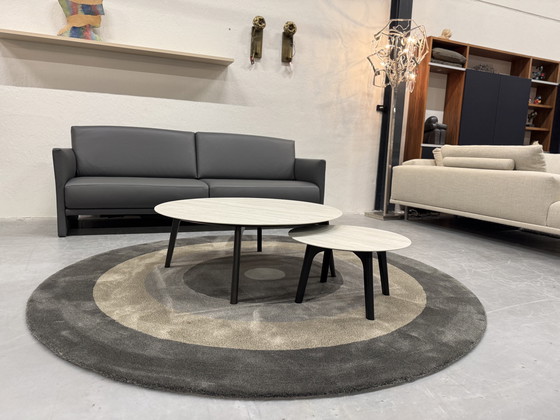 Image 1 of Leolux Rolan Coffee Table Set Ceramic Strata Argentum