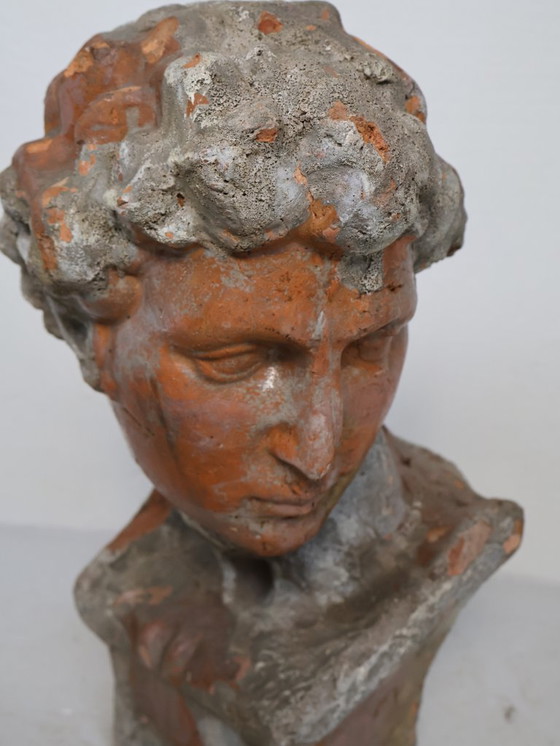 Busto in terracotta patinata (stile greco) – Sculture, Other (photo 4 of 5)