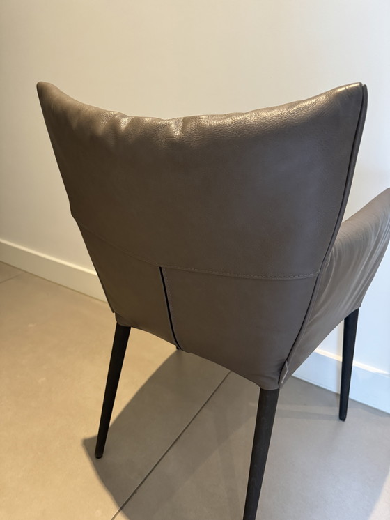 Image 1 of 8x Label Mali dining chair by Gerard Van De Berg