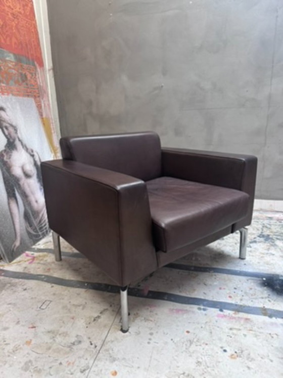 Poltrona Boss Design, pelle marrone, Poltrone, Metallo, Modern (foto 8 di 8)