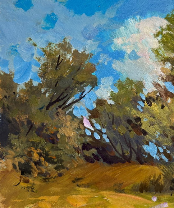 Image 1 of Origineel olieverfschilderij: Zomerlandschap langs de rivier. Zomerse reis langs de rivier.