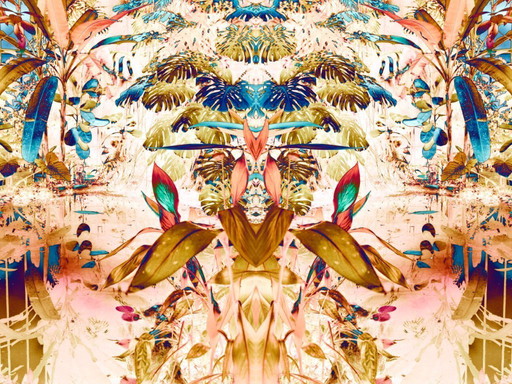 Série Plantes tropicales