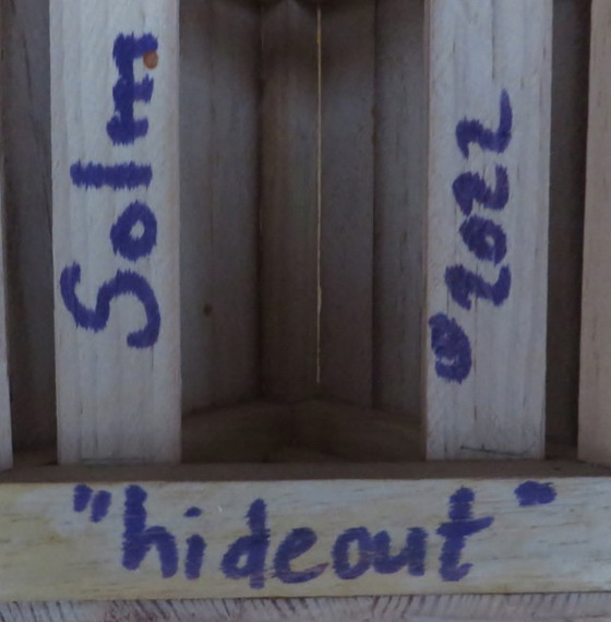 Image 1 of Eric vanSolm - 'Hide out' (riveduto)