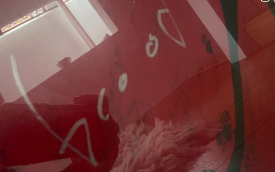 Image 1 of Herman Brood – Purple Haze (E.A.) – Autografiado + Certificado