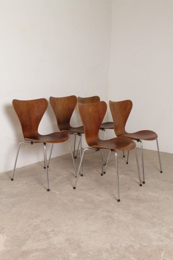 Image 1 of Juego de 5 sillas Serie 7, Arne Jacobsen para Fritz Hansen, 1960-1970.