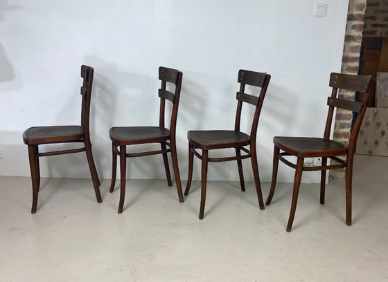 Image 1 of Juego de 4 sillas Thonet de madera de haya – Modelo n.º 651