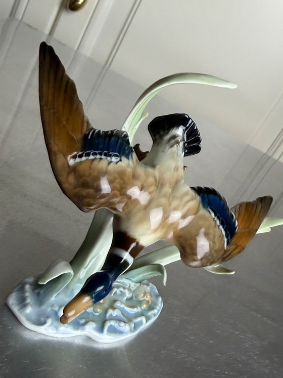Image 1 of Hutschenreuther Selb Kunstabteilung – „Fliegender Erpel“ – Hans Achtziger – Modell 2163 (Entwurf 1950) – frühe Ausführung