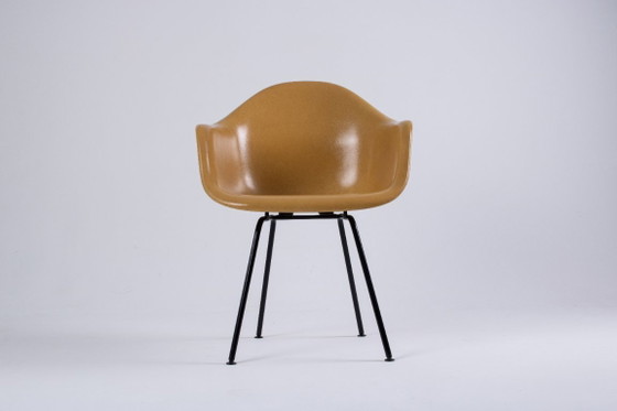 Image 1 of DAX Eames en fibre de verre – Light Ocre – Herman Miller / Vitra – circa 1965-1975
