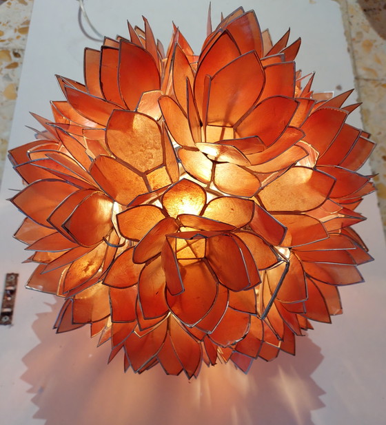 Image 1 of Coral Cadiz Mid Century hanglamp van Rausch