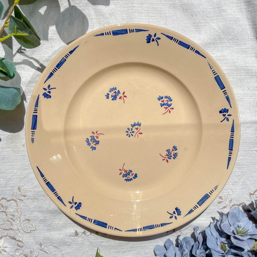 Plato de porcelana vintage K&G Luneville "Flore" años 50 pequeñas flores azules