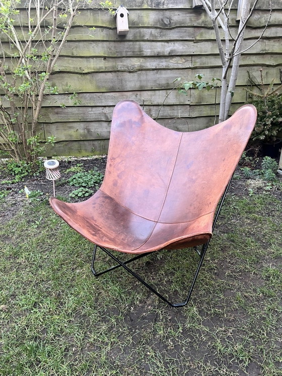 Image 1 of Cuero Design - Sedia Mariposa pelle pampa - Rovere