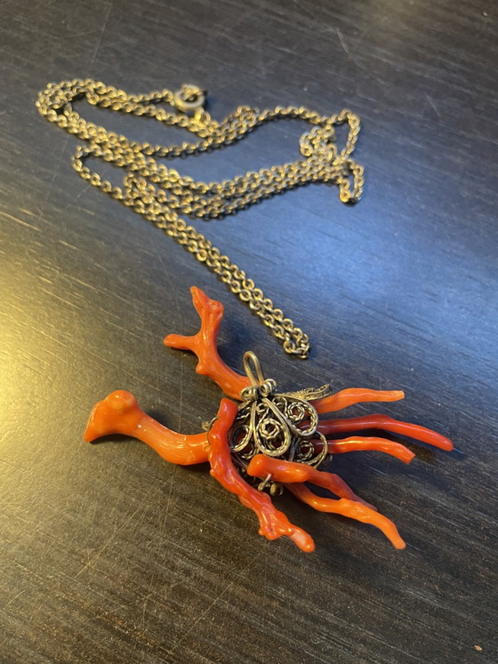 Image 1 of Vermietet mit rotem Korallenstraußen