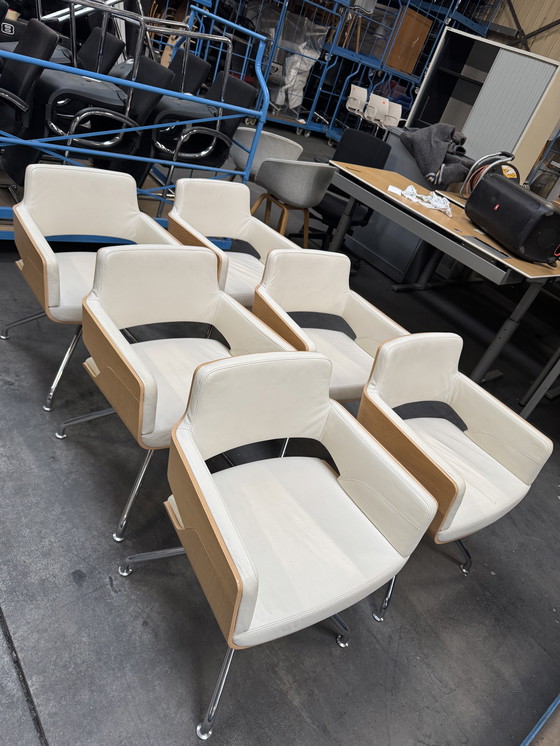 Image 1 of 6x Thonet stoelen