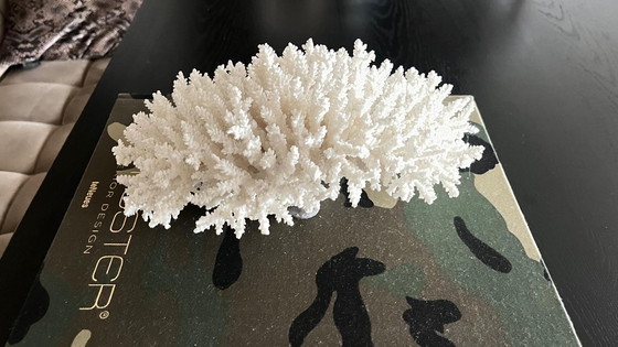 Image 1 of Large Coral Decoration Piece Eric Kuster