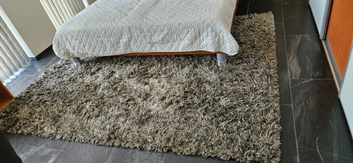 Beautiful Carpet Brand Lifestyle
