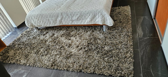 Image 1 of Beautiful Carpet Brand Lifestyle
