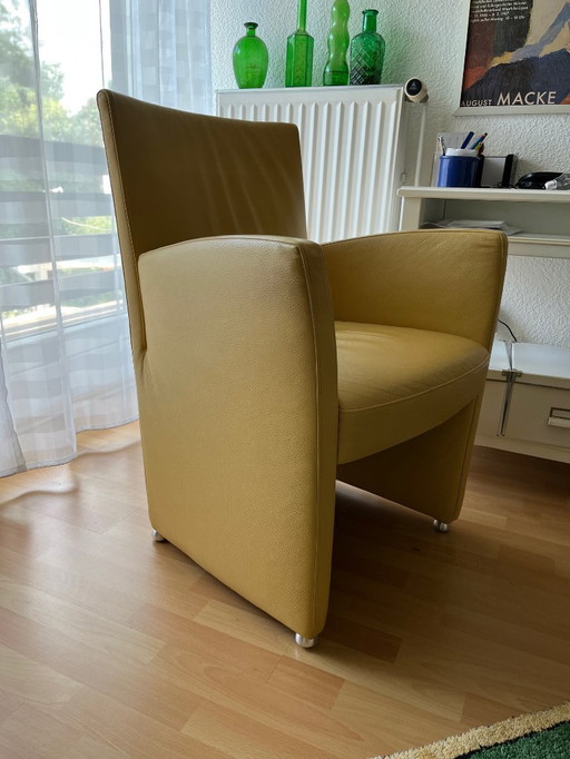 Longlife lederen fauteuil Valdalpone