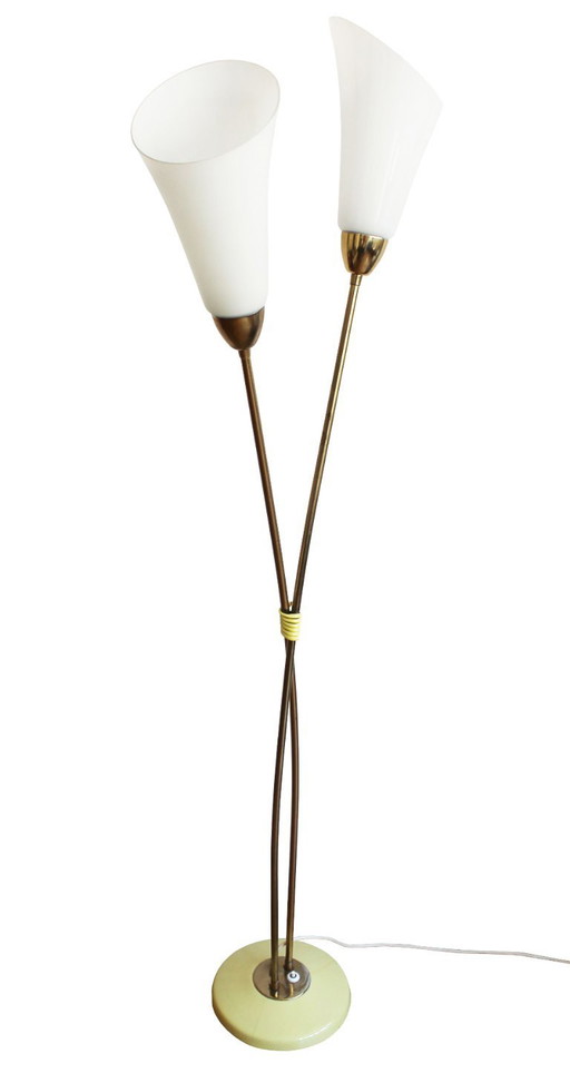 Organic Mid-Century Modern Floor Lamp in Brass and Milk Glass, Czechoslovakia