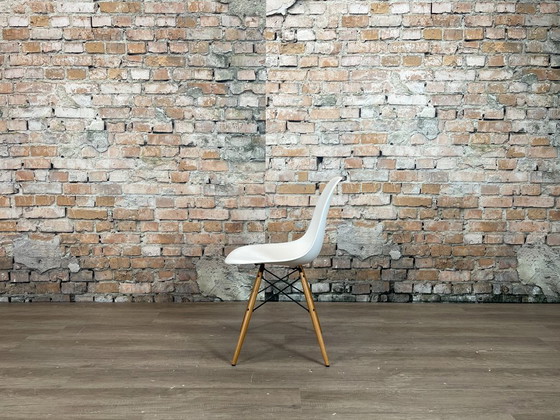 Vitra DSW Wit/Hout - MEER OP VOORRAAD – Eetkamerstoelen, Metal, Plastic (photo 4 of 15)