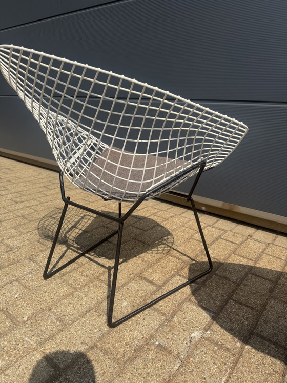 Originele Vintage Knoll Bertoia Diamand Chair TOPstaat!! – Fauteuils, Metal, Textile (photo 10 of 14)