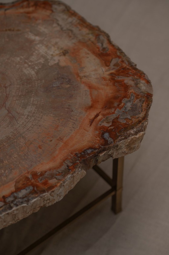 Image 1 of Table basse rare en bois pétrifié - années 1970