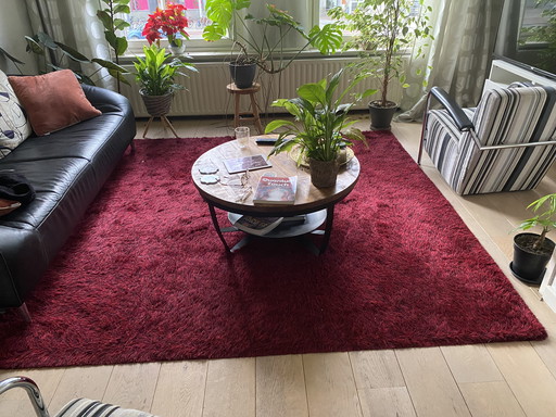 Alfombra Millenerpoort tipo Bella Mezzo 240x280