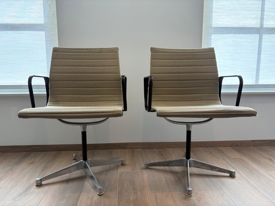 Image 1 of Sillas Eames para Herman Miller 680S/86S