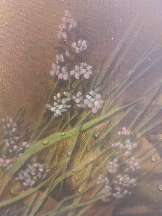 Image 1 of Frank Bogaert