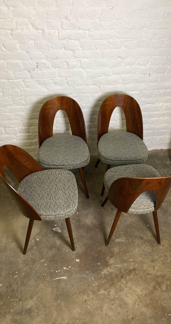 Image 1 of Ensemble de 4 Chaises d’Antonin Suman 1960s