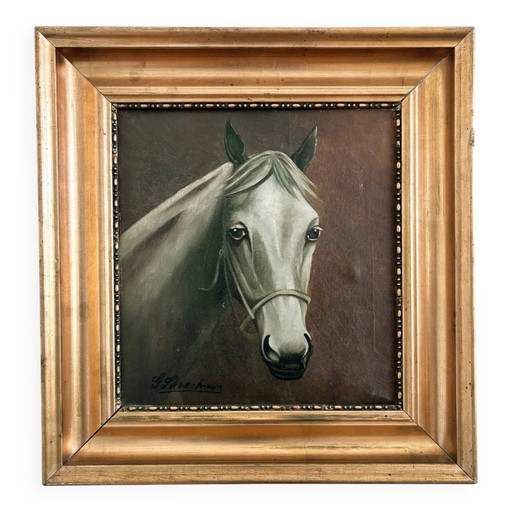 Peinture à l'huile originale vintage représentant un cheval blanc, portrait équestre signé