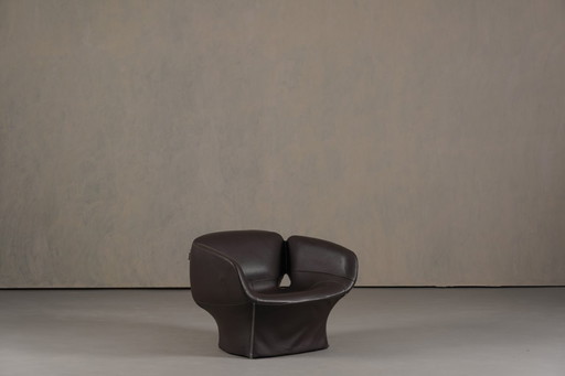 Fauteuil Bloomy de Patricia Urquiola pour Moroso, Italie, années 2000