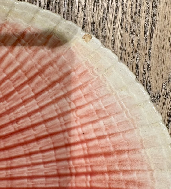 Image 1 of 2 Barbotine-Muschelteller / Austernschalen, ca. 1900